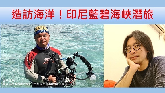 造訪海中生物！印尼藍碧海峽潛旅