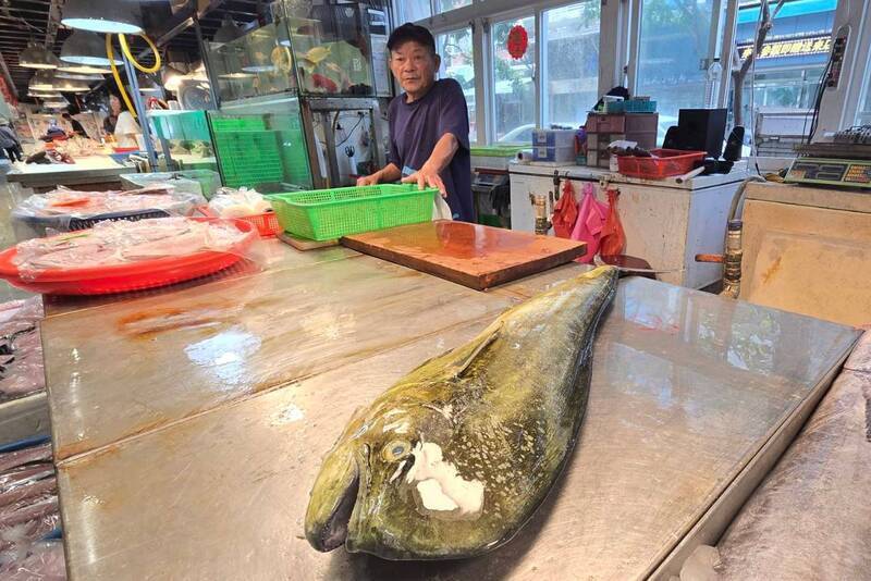 面對關稅變局 專家提食魚教育等四方向提升市場價值