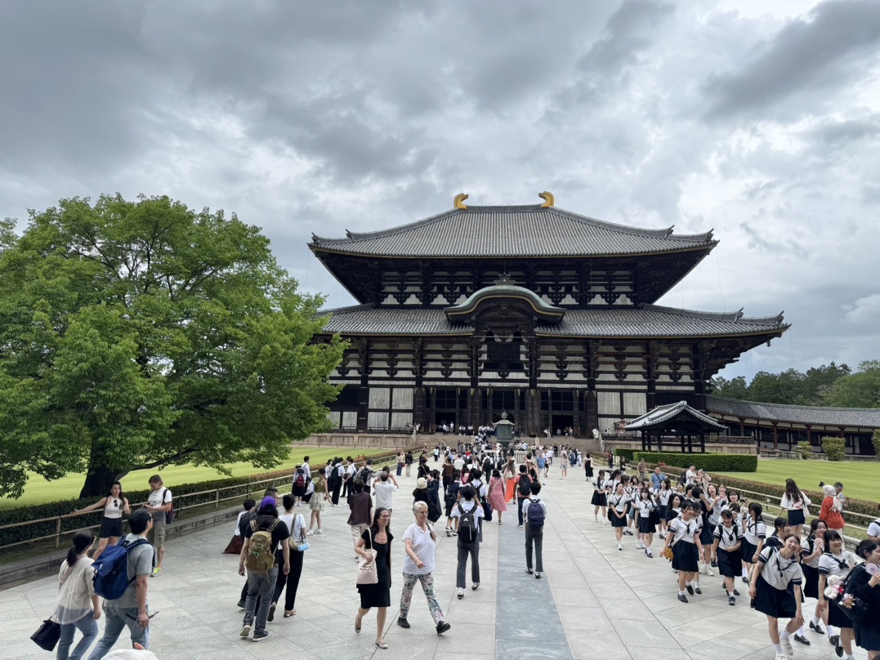 日本觀光白皮書：7旬長輩約7成去年未外宿旅行